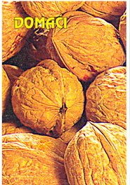 Sadnica sorte Domaći